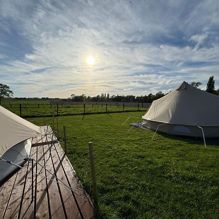 Camp Mangoeste Zedelgem Exterior photo